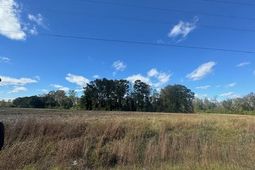 821 Rabon Rd. photo 4