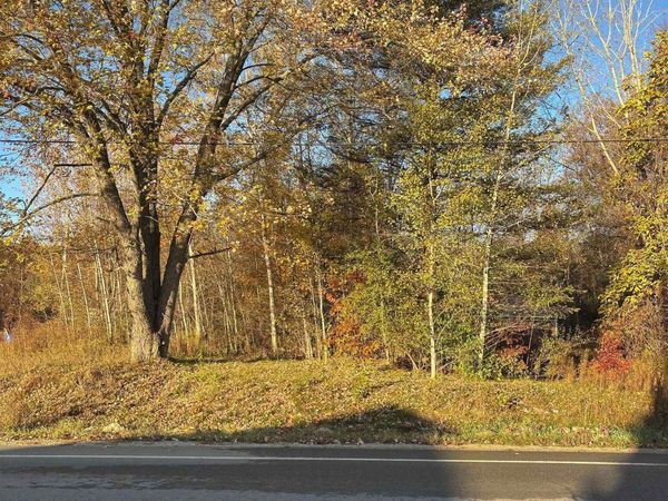 8698 Old State Avenue, Farwell, MI 48622