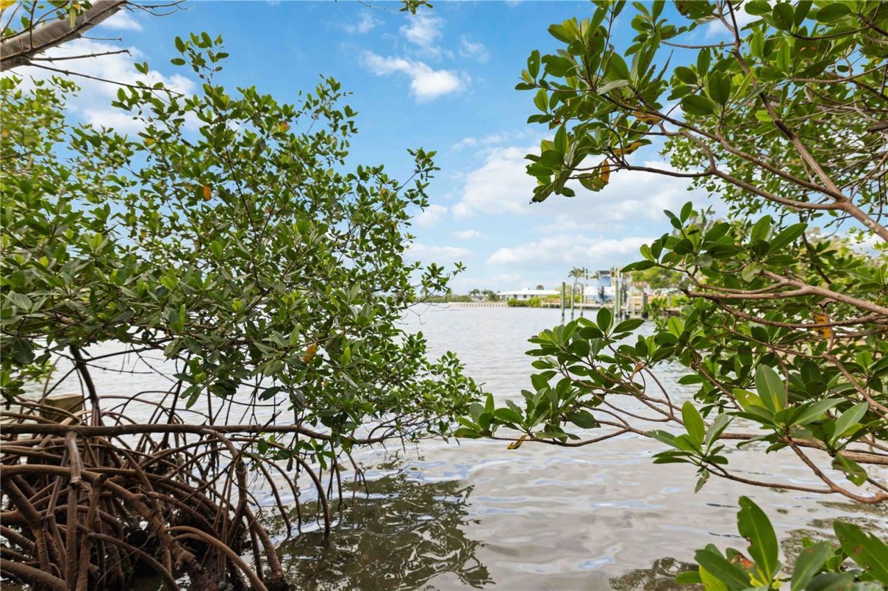 505 Lyons Bay Road, Nokomis, FL 34275 Photo