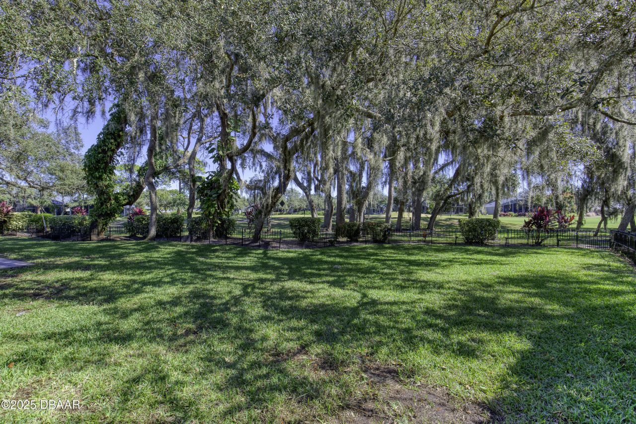 1014 Stagger Bush Place, New Smyrna Beach, FL 32168 Photo