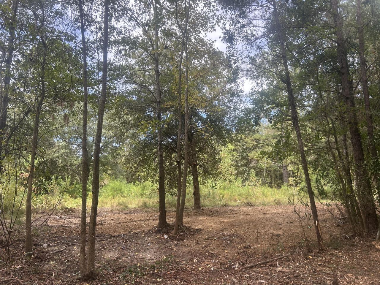 0 Jasper Lane Photo 11