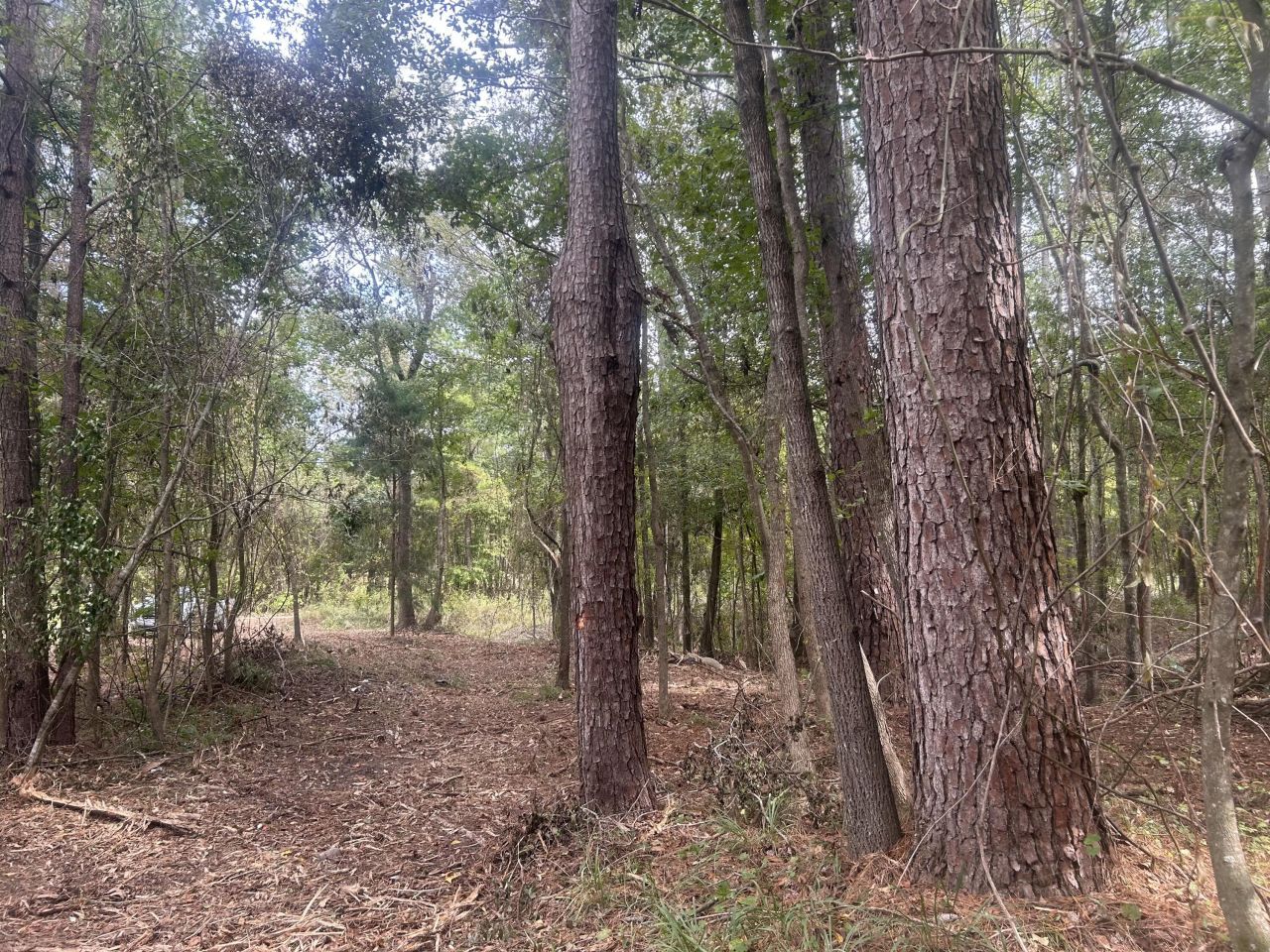 0 Jasper Lane Photo 12