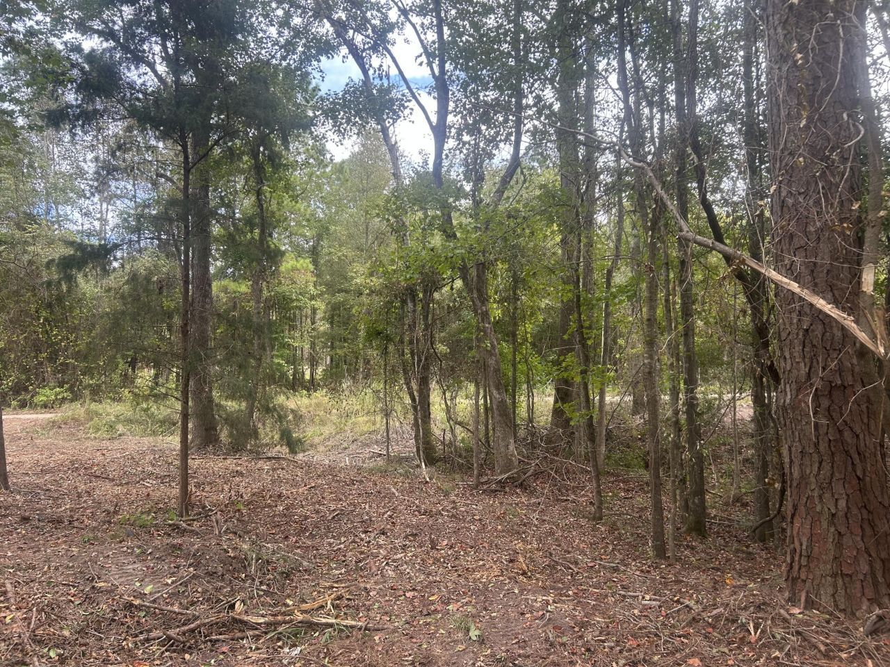 0 Jasper Lane Photo 13