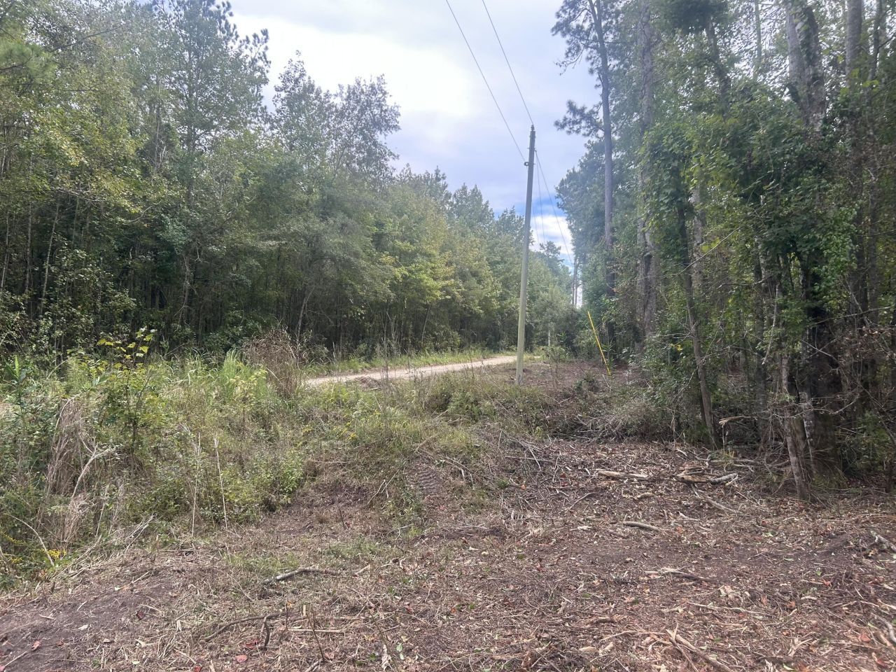 0 Jasper Lane Photo 14