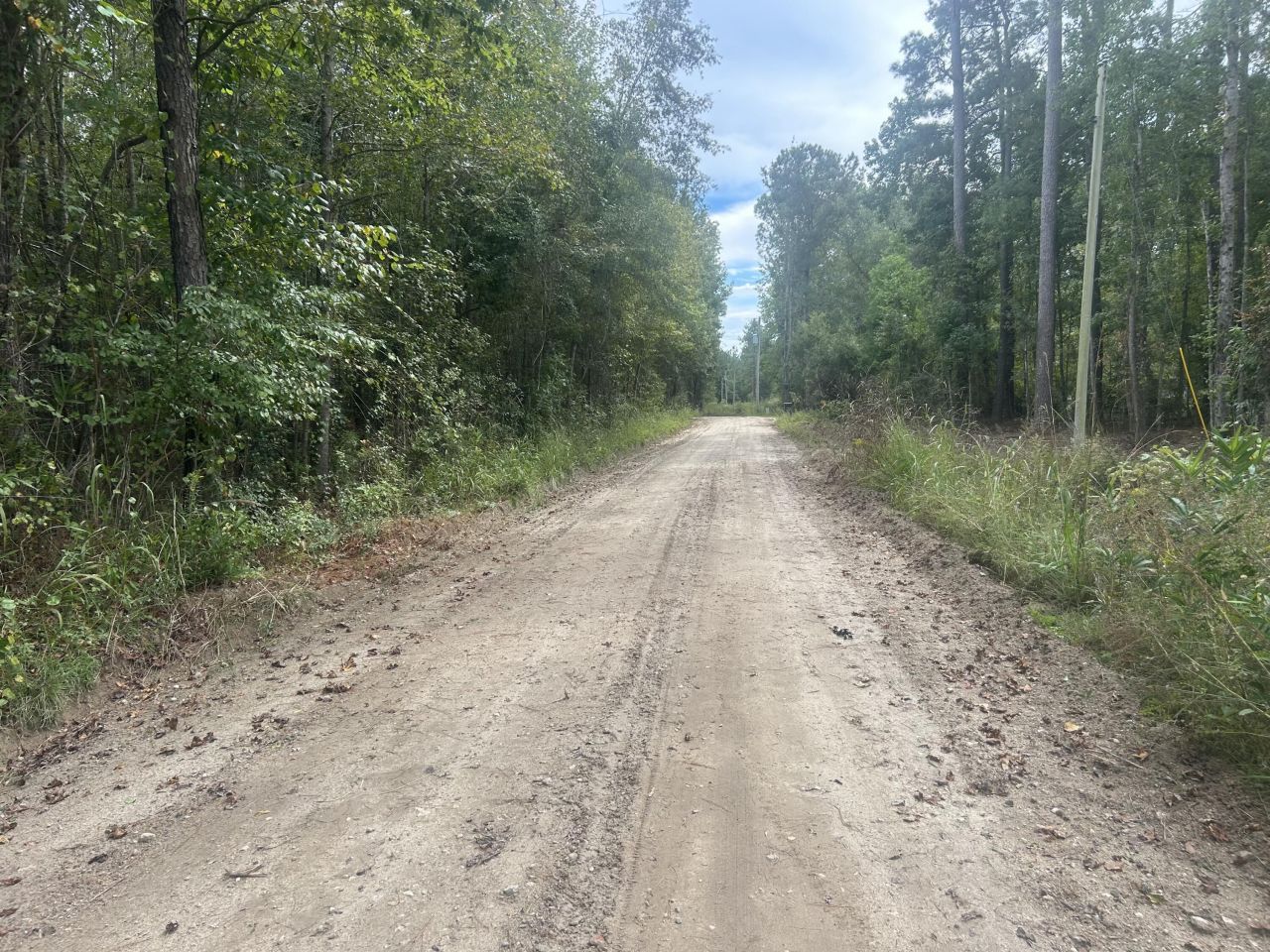 0 Jasper Lane Photo 15