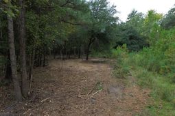 0 Jasper Lane photo 4