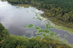 0 Jasper Lane photo 4