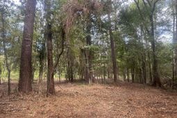 0 Jasper Lane photo 4