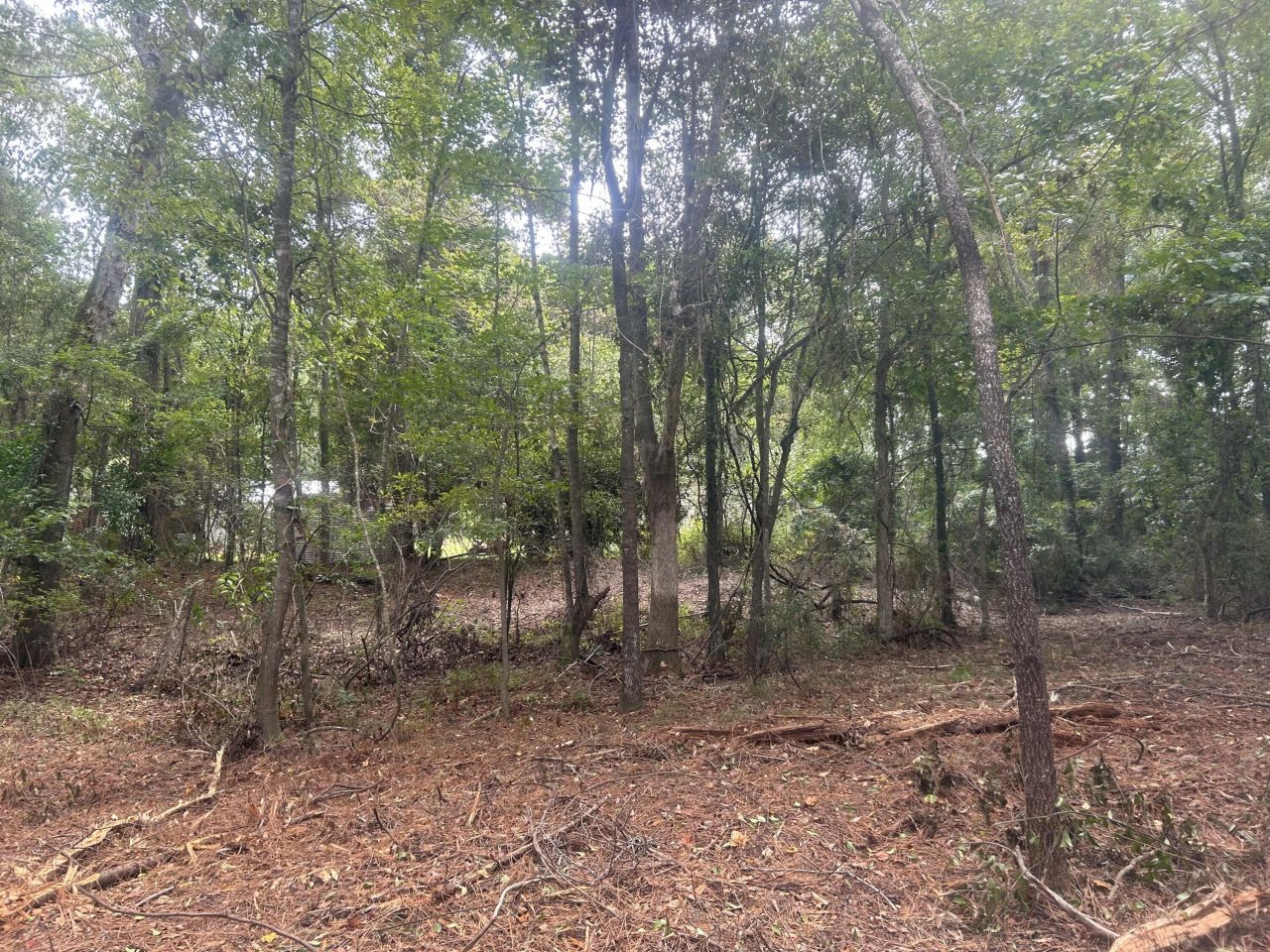 0 Jasper Lane Photo 9