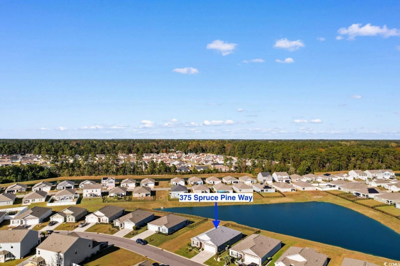 375 Spruce Pine Way Photo 32