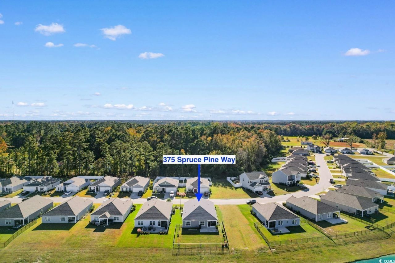 375 Spruce Pine Way Photo 34