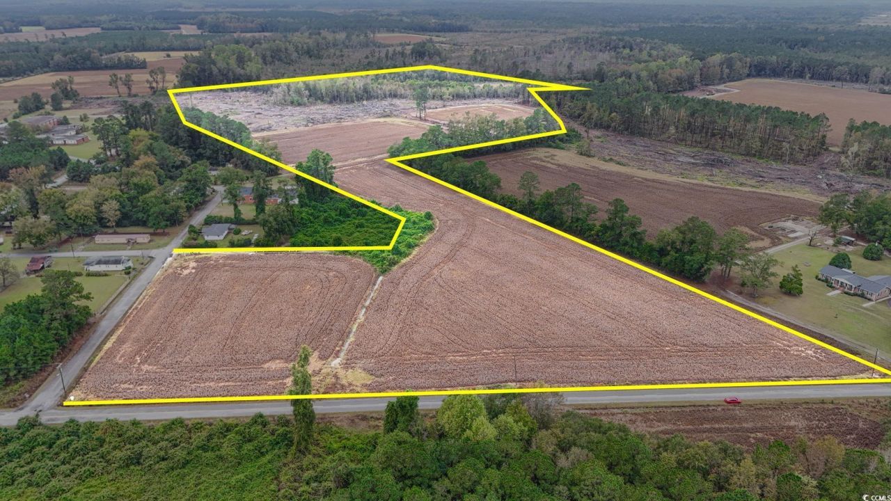 Tbd Francis Gibson Rd., Centenary, SC 29519 Main Photo