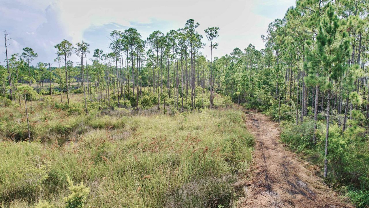 Xx Mill Road, Carrabelle, FL 32322 Photo