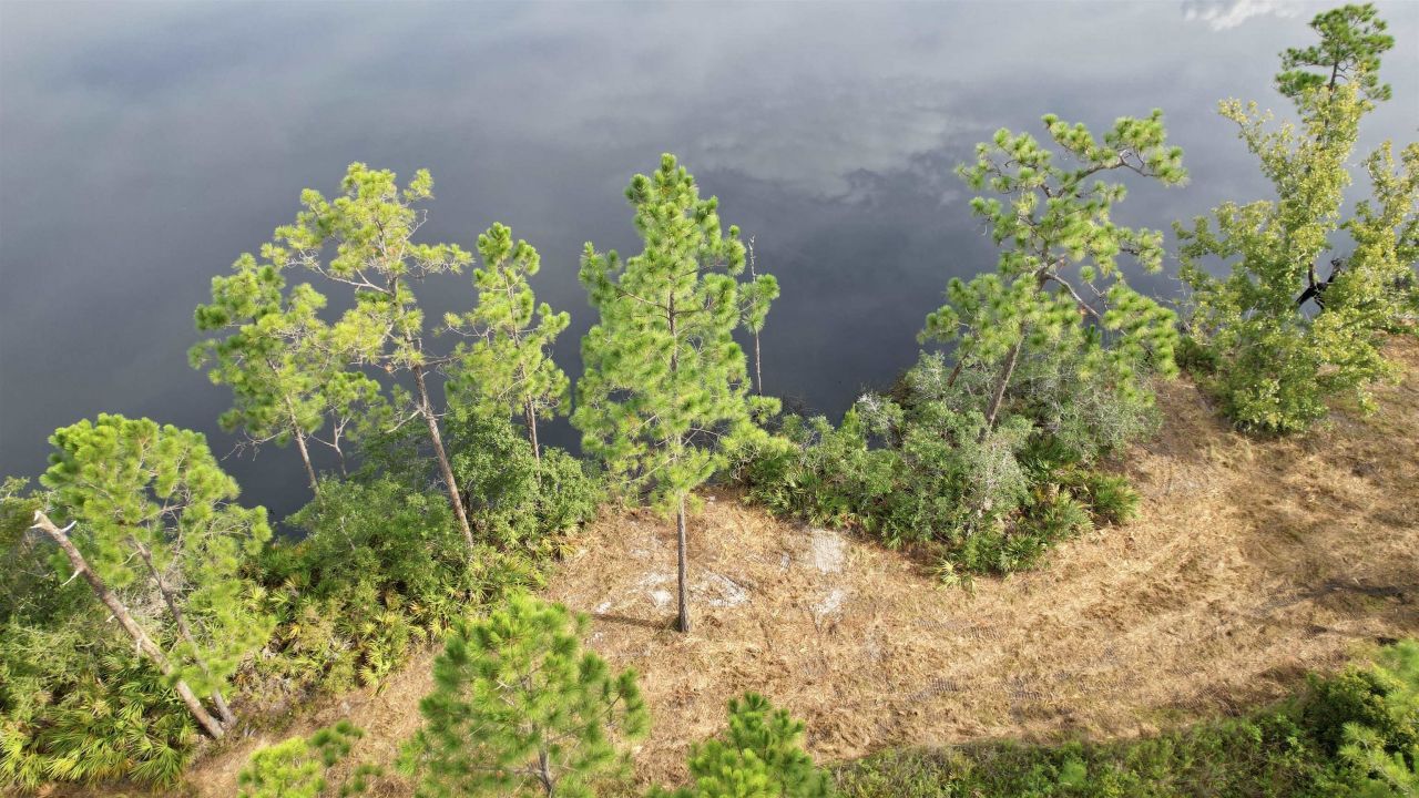 Xx Mill Road, Carrabelle, FL 32322 Photo