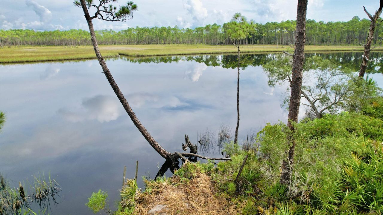 Xx Mill Road, Carrabelle, FL 32322 Photo