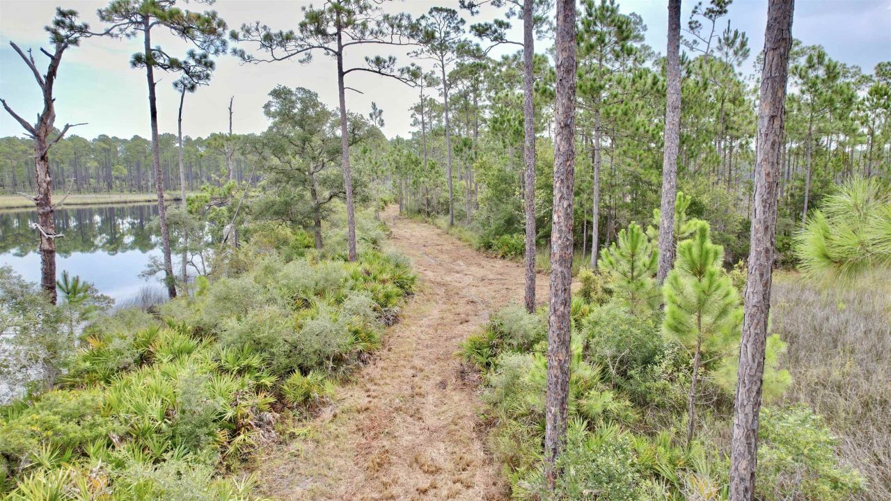 Xx Mill Road, Carrabelle, FL 32322 Photo