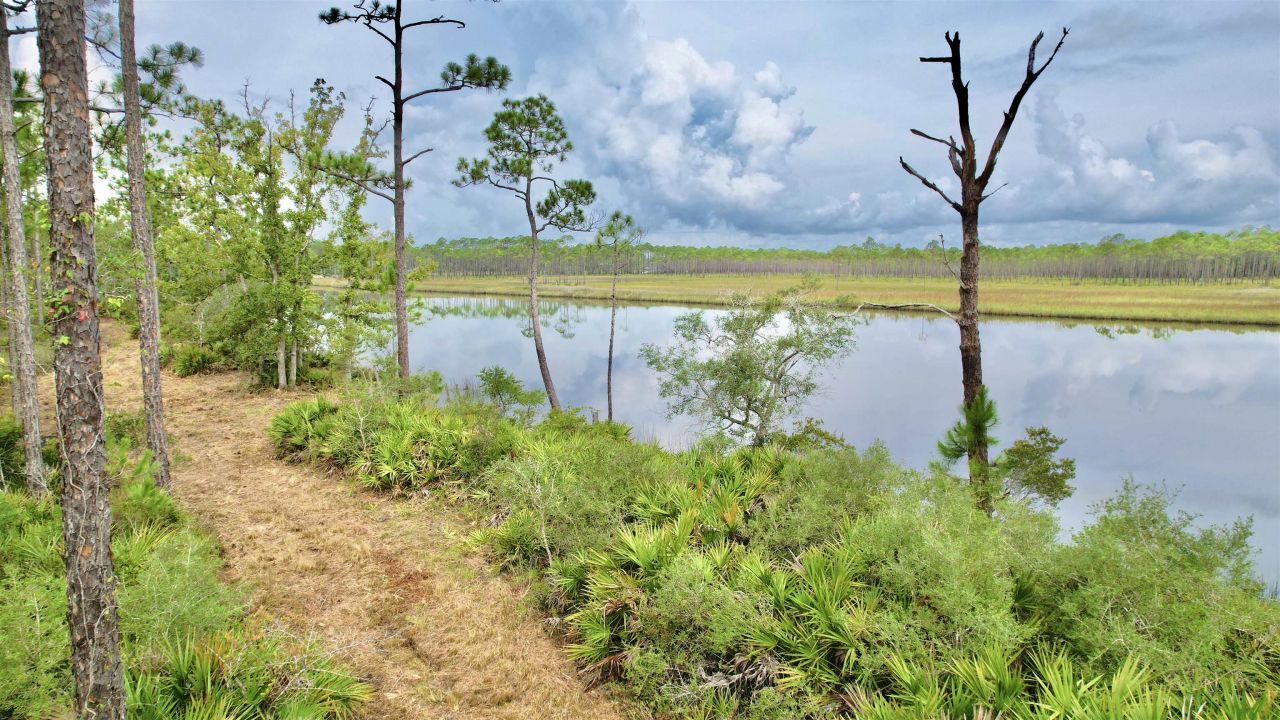 Xx Mill Road, Carrabelle, FL 32322 Photo