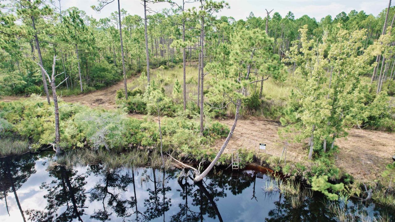 Xx Mill Road, Carrabelle, FL 32322 Photo