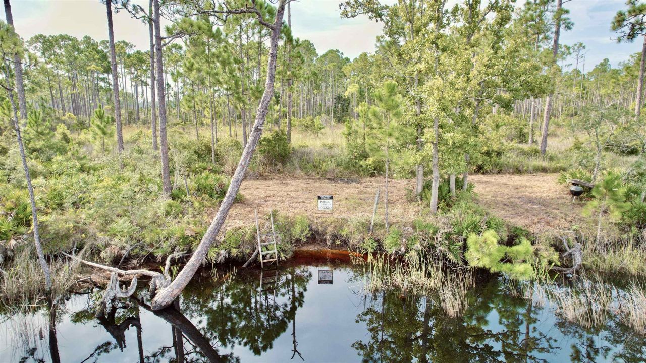 Xx Mill Road, Carrabelle, FL 32322 Photo