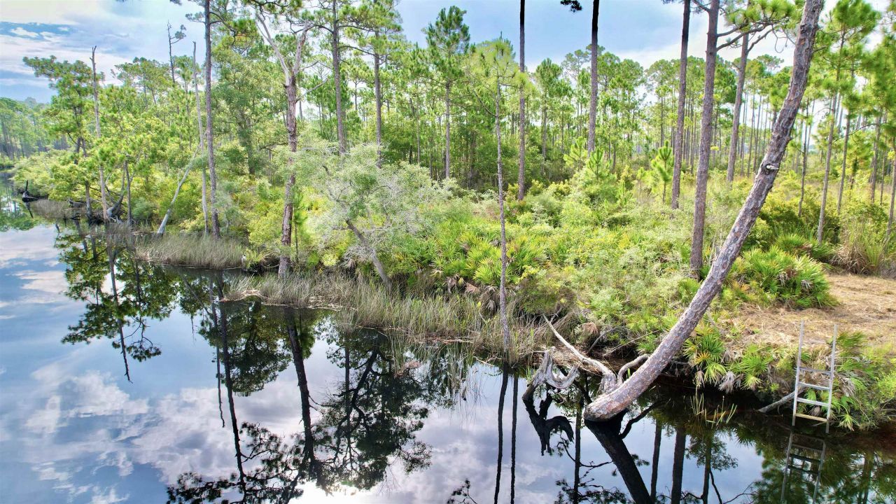 Xx Mill Road, Carrabelle, FL 32322 Photo