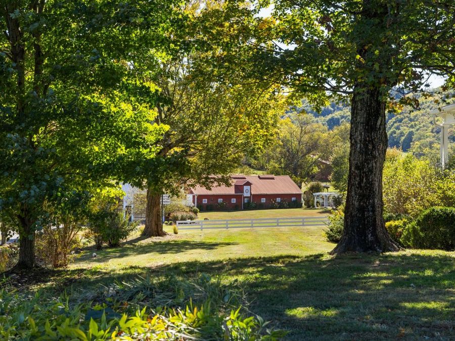 Property Image 41