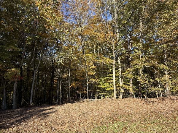 0 Collins Road, Allons, TN 38541