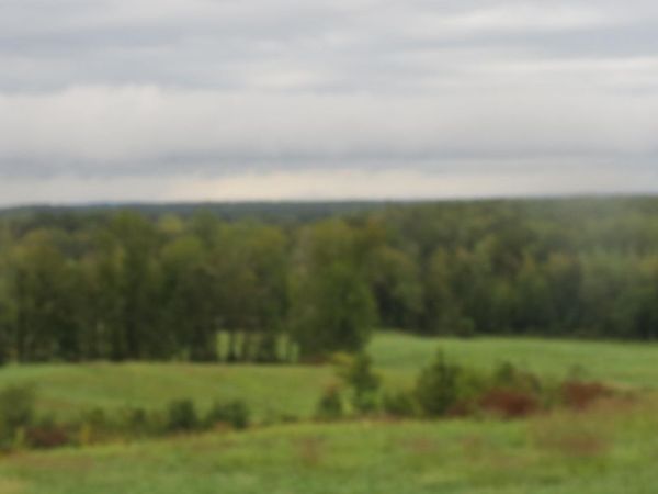 562 Roach Rd, Decaturville, TN 38329