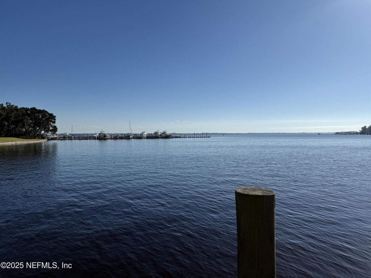 4233 Venetia Boulevard, Jacksonville, FL 32210 Photo