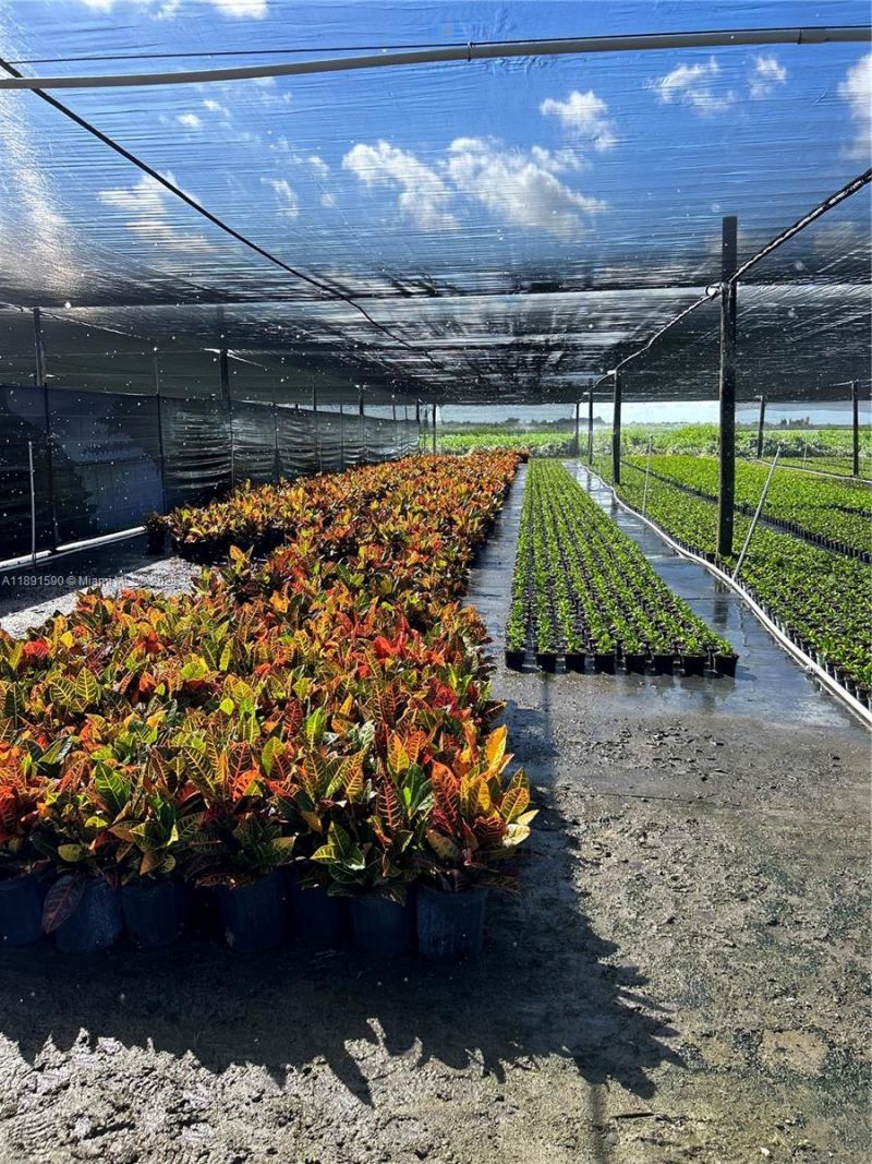 Krome, Homestead, FL 33034 Photo
