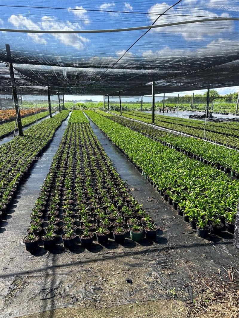 Krome, Homestead, FL 33034 Photo