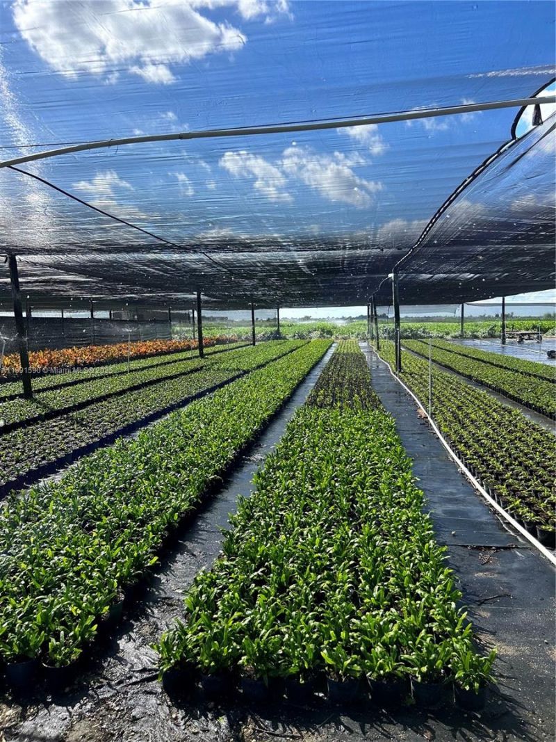 Krome, Homestead, FL 33034 Photo