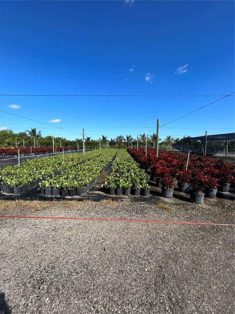 Krome, Homestead, FL 33034 Photo