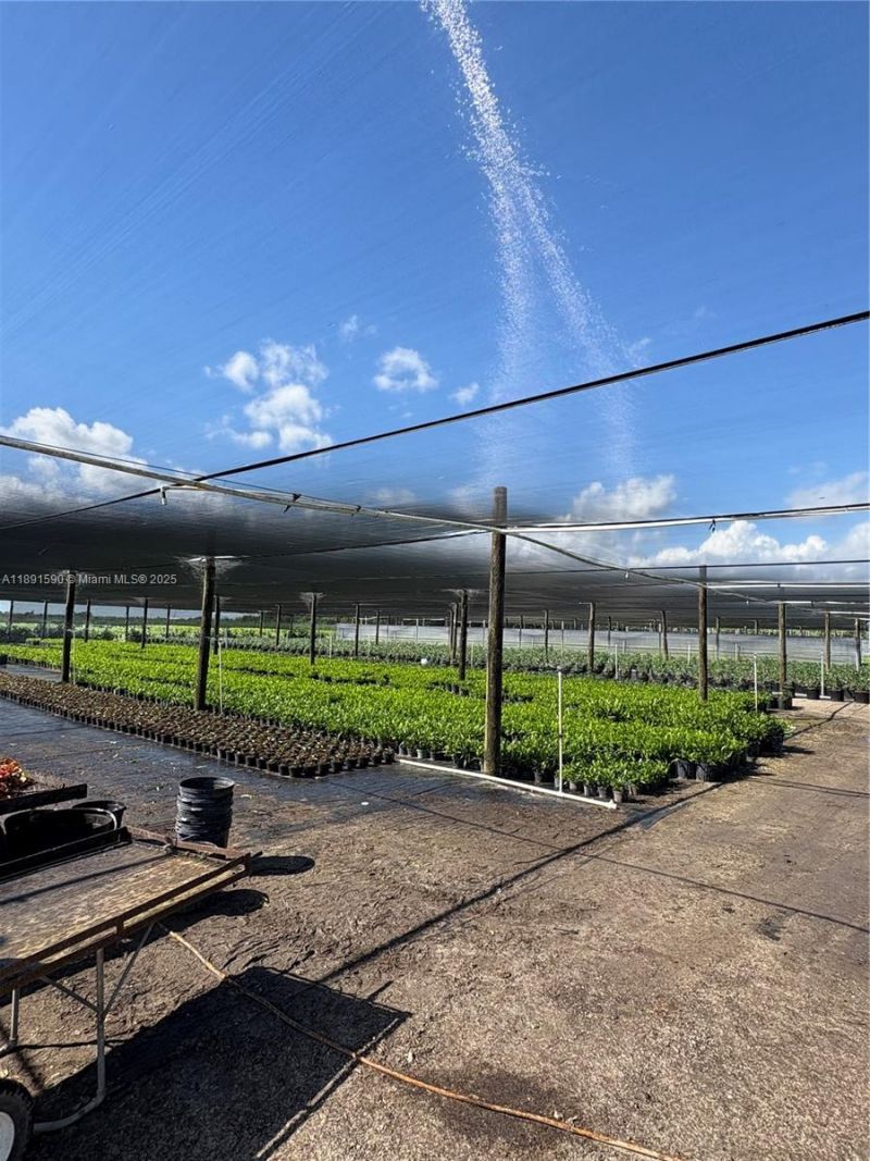 Krome, Homestead, FL 33034 Photo