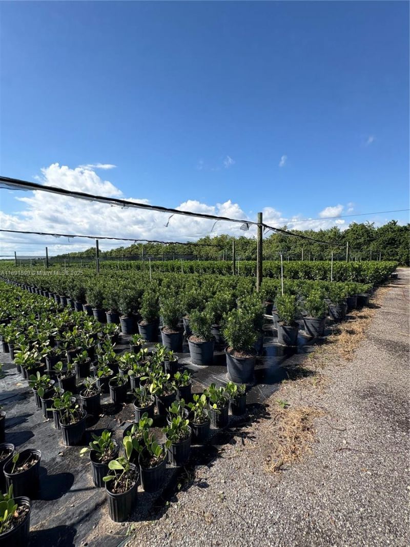 Krome, Homestead, FL 33034 Photo