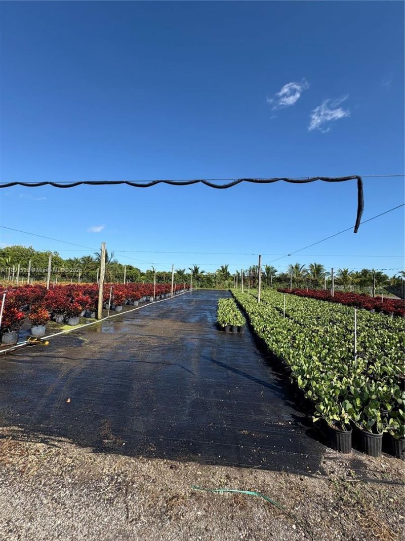 Krome, Homestead, FL 33034 Photo