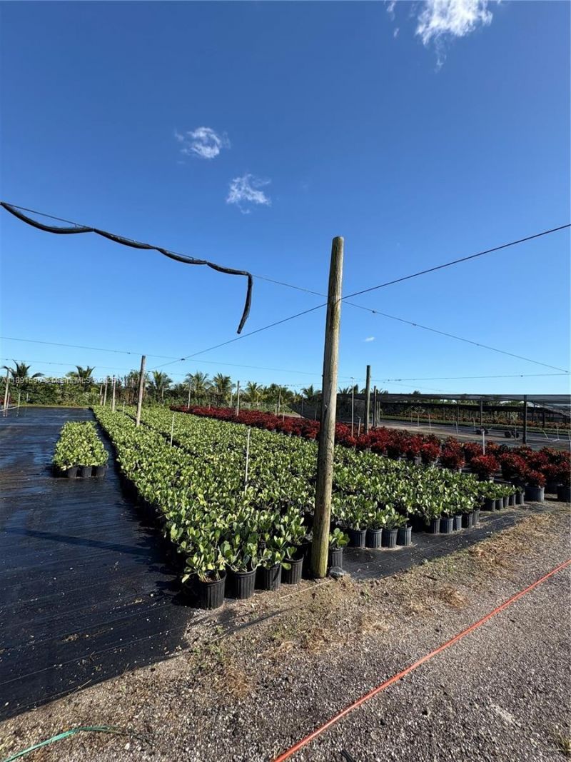 Krome, Homestead, FL 33034 Photo