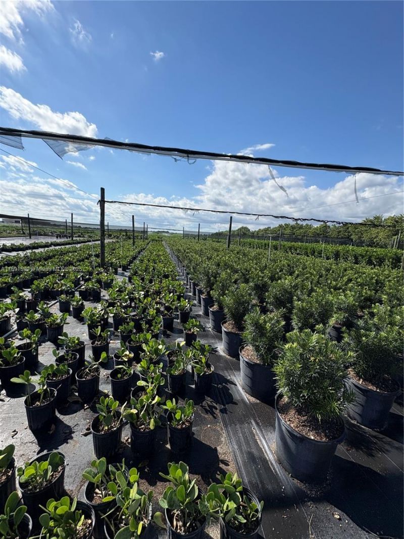 Krome, Homestead, FL 33034 Photo