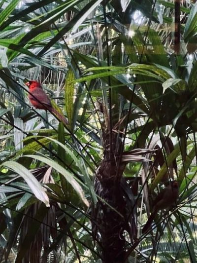 22800 SW 157th Ave, Miami, FL 33170 Photo