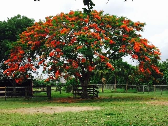 22800 SW 157th Ave, Miami, FL 33170 Photo