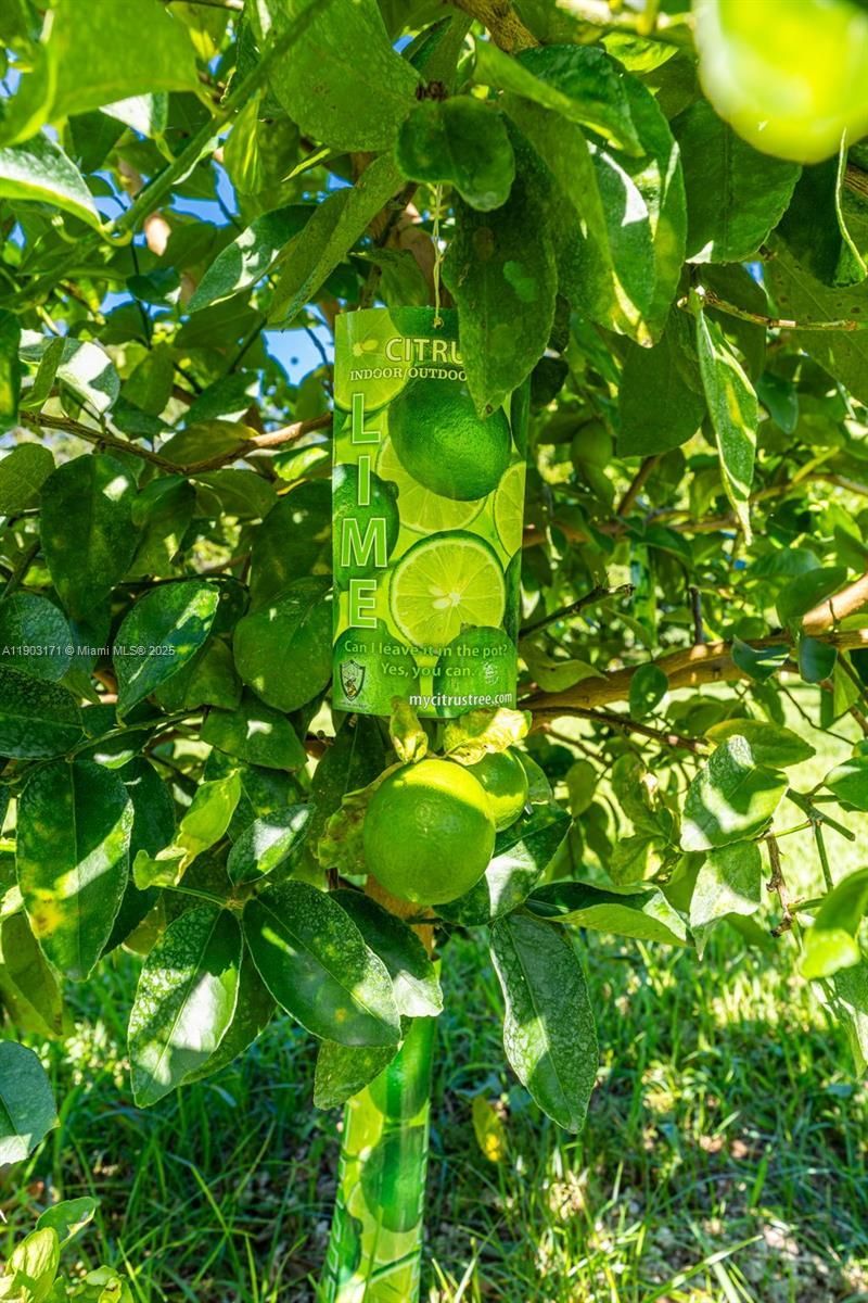 15000 SW 200th St, Miami, FL 33187 Photo