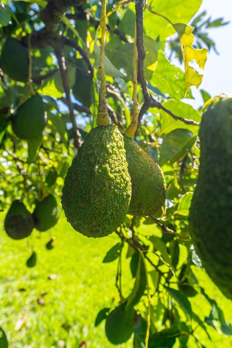 15000 SW 200th St, Miami, FL 33187 Photo