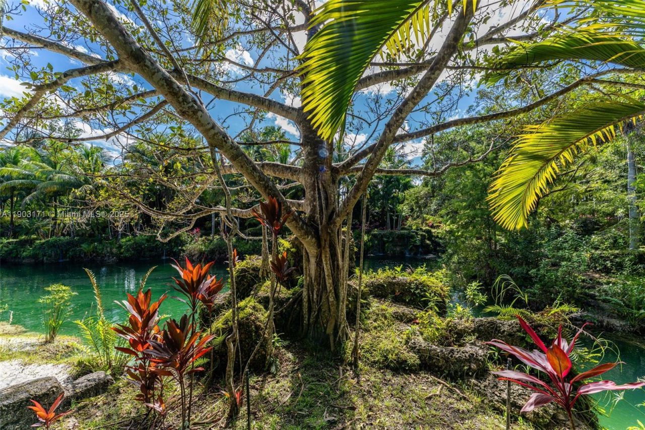 15000 SW 200th St, Miami, FL 33187 Photo