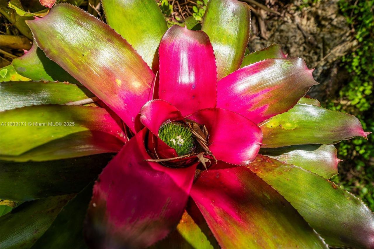 15000 SW 200th St, Miami, FL 33187 Photo