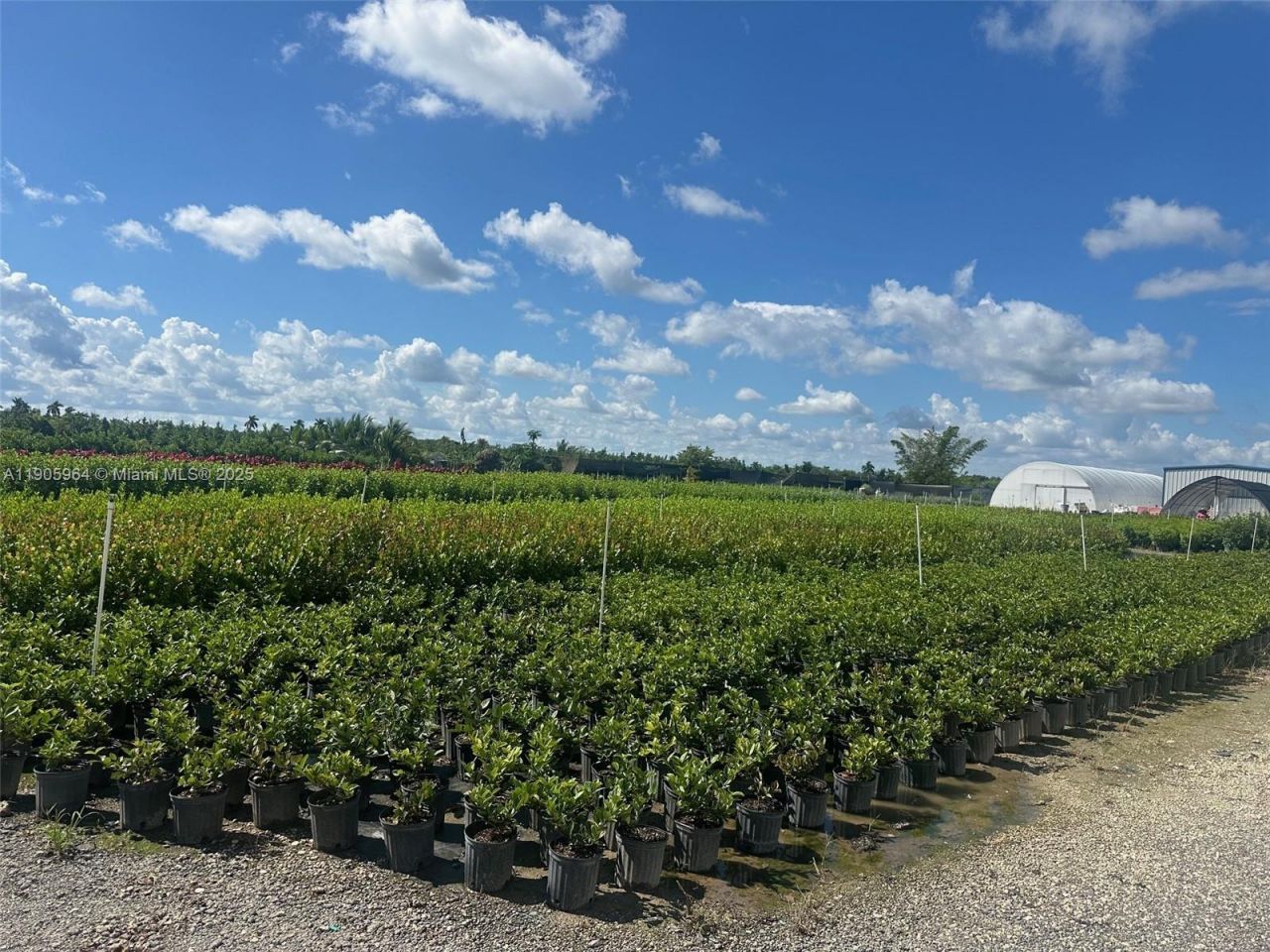 16890 SW 267 Te, Homestead, FL 33031 Photo