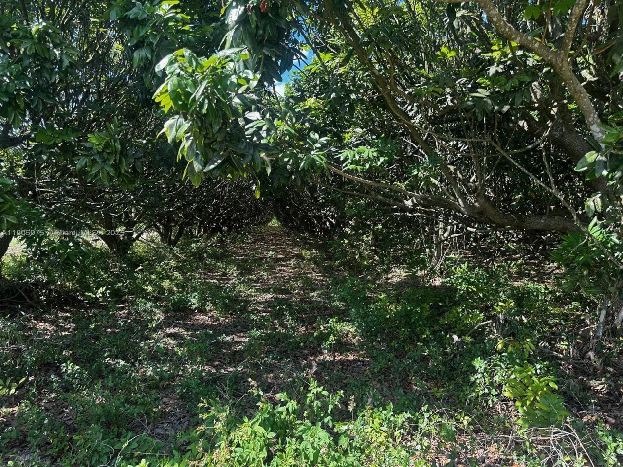 226xx SW 220 Av, Homestead, FL 33170 Photo