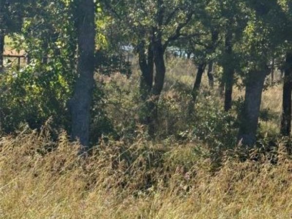 416 Sunset Bay Pointe Court, Chico, TX 76431