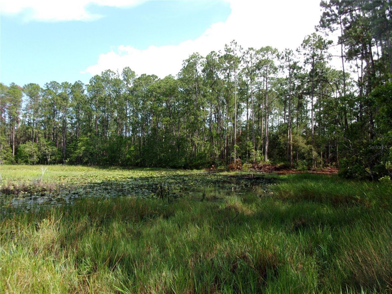 Deep Woods Road, Paisley, FL 32767 Photo