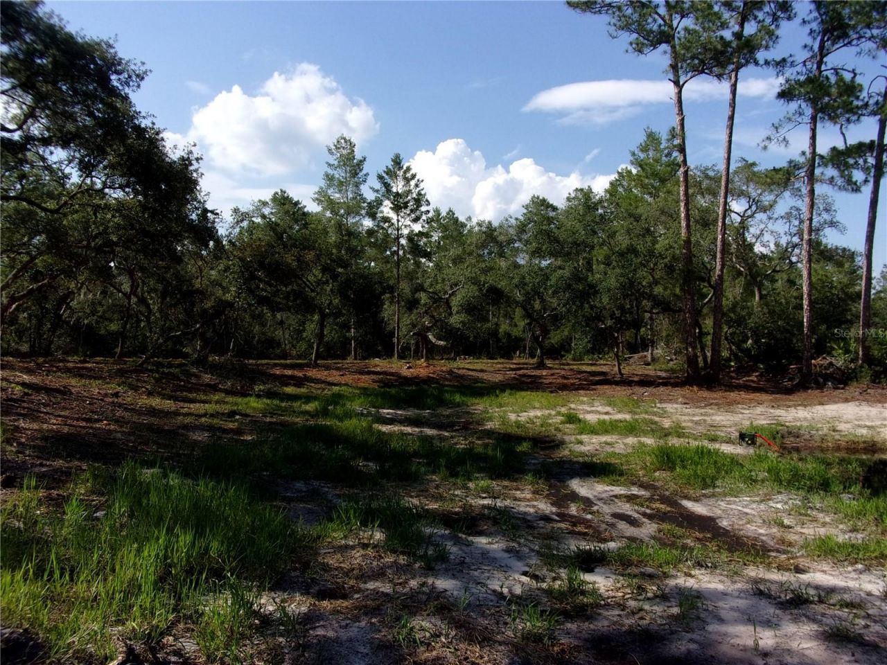 Deep Woods Road, Paisley, FL 32767 Photo