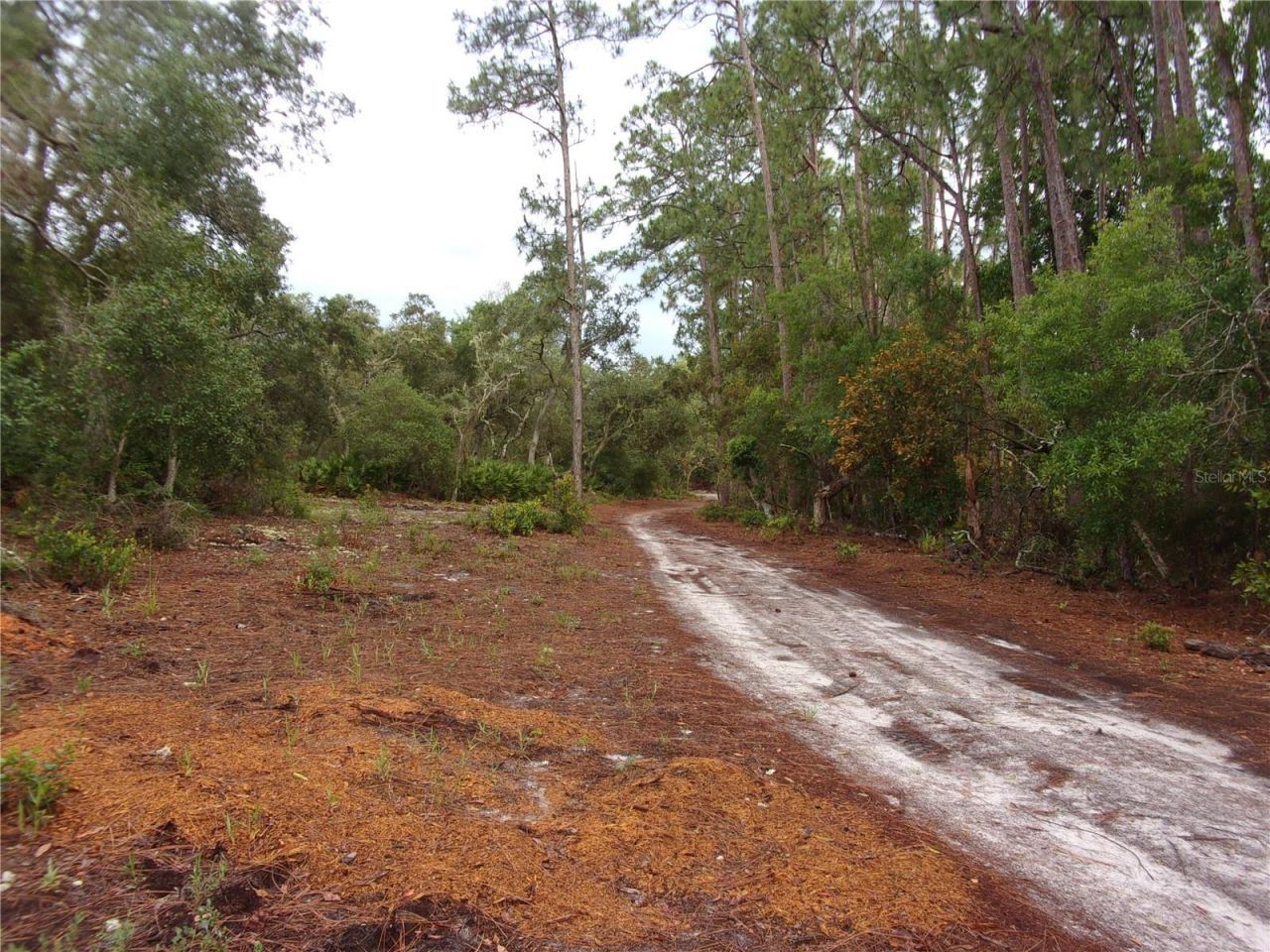 Deep Woods Road, Paisley, FL 32767 Photo