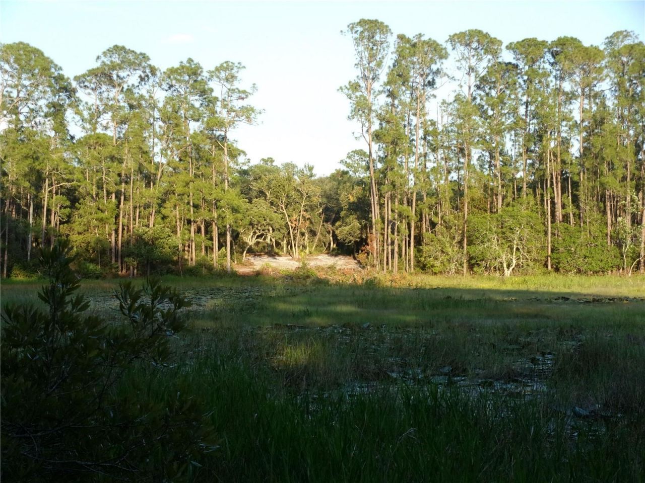 Deep Woods Road, Paisley, FL 32767 Photo